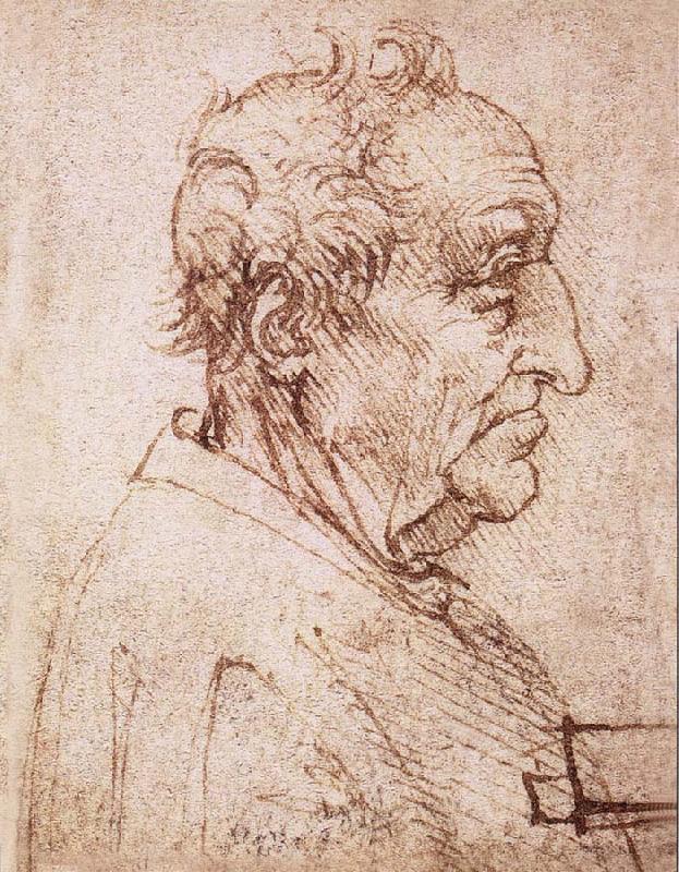 LEONARDO da Vinci Profile of an old man oil painting picture